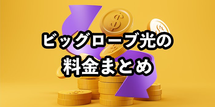 ビッグローブ光の料金まとめ【高いと感じたときは？】