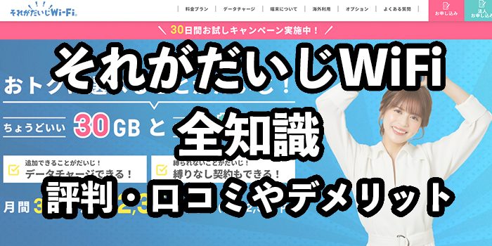 それがだいじWi-Fiの評判・口コミ【おすすめの人とは？】