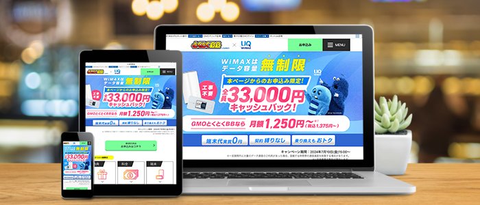 無制限ポケット型WiFi③「GMOとくとくBB WiMAX」
