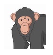 サル
