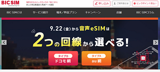 格安SIMBICSIM